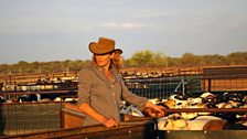 Kate Humble surveys the paddocks.