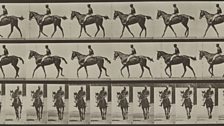 Eadweard Muybridge, Animal Locomotion (Plate 580), 1887