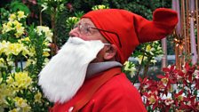 A Hillier Nurseries gnome