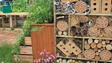 Insect Hotel