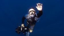 Doug Allan's formidable diving experience