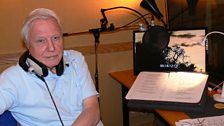 Sir David Attenborough will provide the narration for the series