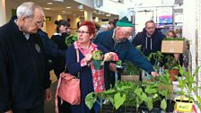 Plant Swap