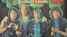 Shake It Down - Mud