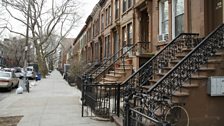 Brownstones in Bed-Stuy