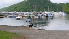 Harbour near Balmaha