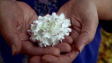 Capturing the fine detail of a porcelain flower