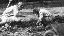 George Lloyd in the garden