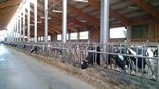 A new dairy farm built by the Murkovic family