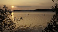 Cameron Reservoir, Fife