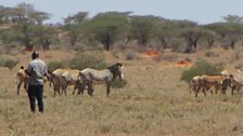 Michael Kaloki in the West Gate Conservancy in Samburu