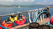 Black whelk fishing pots. These will be baited with dead crab, thrown overboard and left overnight.