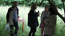 At the treasure location, the wildflower meadow in Sporle