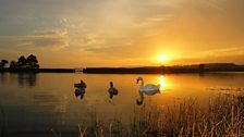 Gillingshill Reservoir, Anstruther