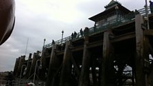 Pier from Waverley