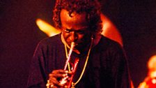 Miles Davis at North Sea Jazz Festival