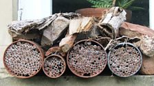 An artificial nest which can ideal for red mason bees located on a window sill.