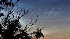 Noctilucent Clouds in Glasgow