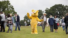 Pudsey at the fair!