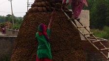 Women in a village in Haryana, working with cow dung