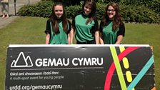 Gemau Cymru 2013