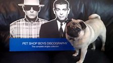 #PSB6Music from @JackPuglet