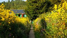 Claude Monet's Garden, Giverny, France