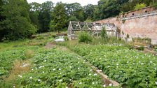 The Lost Garden of Penicuik