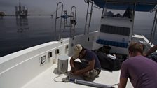 Preparing a receiver for the whalesharks