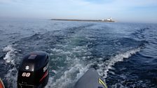 Coquet Island from a distance