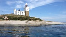 Coquet Island