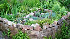 A walled garden: an example of a useful habitat for wildlife.