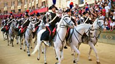 Horses at the Palio de Siena