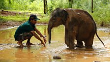 Elephant Carers