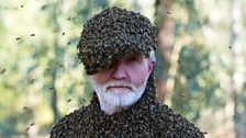 A bee hat and cloak