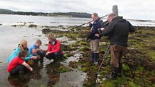 Rock-pooling