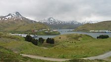 Dutch Harbor