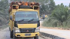 Trucks in the Riau province