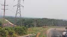 Palm oil plantations dominate the landscape in Riau province, Sumatra.