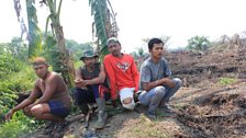 Smallholder farmers in Northern Riau