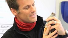 Nick Baker with tagged cuckoo