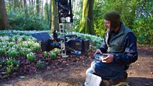 Filming snowdrops with a cable dolley system