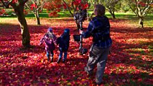 Children playing in the leaves