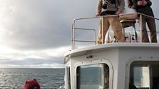 Searching for fin whales