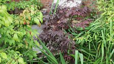 The Quiet Garden at Horizon House Childrens’ Hospice