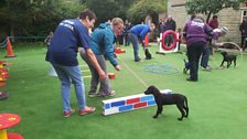 Janet's Puppy Skool Open Day