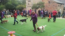 Janet's Puppy Skool Open Day