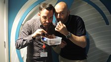 Shaun Keaveny is joined by Simon Rimmer