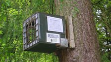 Feeder box 1