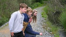 Inspecting the Dubhloch wetland area